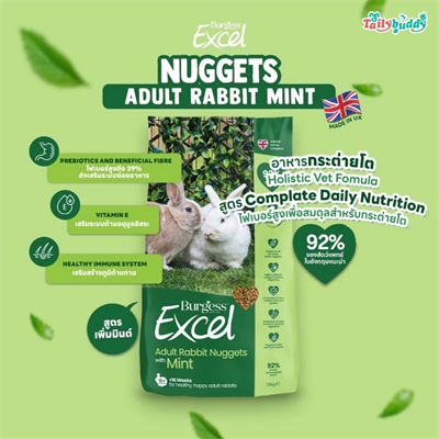Burgess Excel Adult Rabbit Nuggets Mint อาหารสำหรับกระต่ายโต 4 เดือนขึ้นไป (1.5kg)